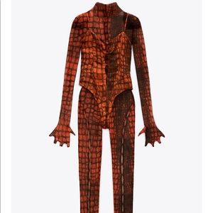 The Dragon Halloween Collection - Zara